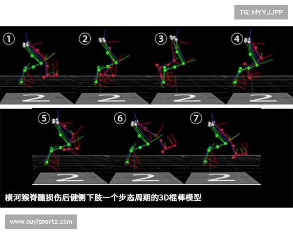 游泳3D动作捕捉系统助力精准分析转身角度与划臂频率提升训练效率 游泳3D动作捕捉系统助力精准分析转身角度与划臂频率提升训练效率